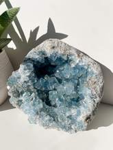 Load image into Gallery viewer, Celestite Cluster