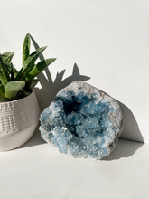 Load image into Gallery viewer, Celestite Cluster