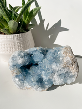 Load image into Gallery viewer, Celestite Cluster