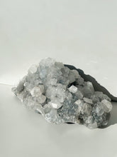 Load image into Gallery viewer, Apophyllite Cluster - A Grade