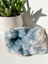 Load image into Gallery viewer, Celestite Cluster
