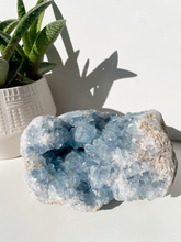 Load image into Gallery viewer, Celestite Cluster
