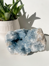 Load image into Gallery viewer, Celestite Cluster
