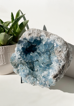 Load image into Gallery viewer, Celestite Cluster
