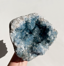 Load image into Gallery viewer, Celestite Cluster
