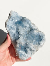 Load image into Gallery viewer, Celestite Cluster
