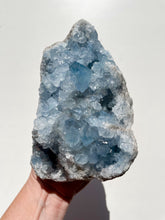Load image into Gallery viewer, Celestite Cluster
