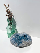 Load image into Gallery viewer, Celestite Cluster
